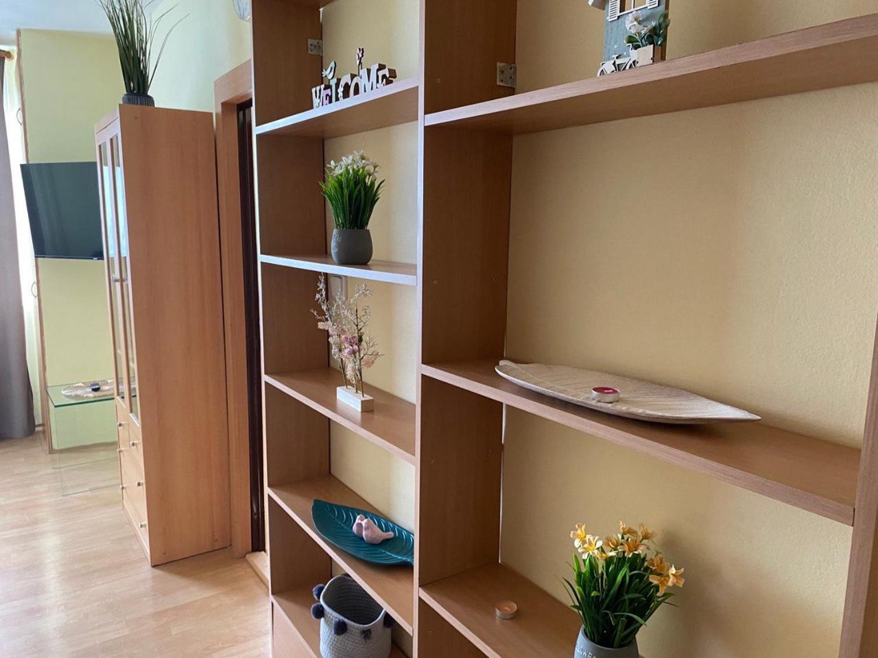 Apartmany 2Kk U Fakultni Nemocnice Volne Parkovani Hradec Kralove Ngoại thất bức ảnh